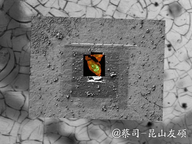 唐山唐山蔡司唐山扫描电镜