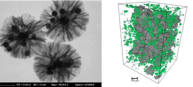 唐山唐山蔡司唐山扫描电镜